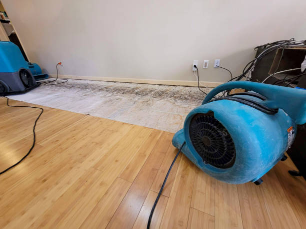 Professional Flood Damage Cleanup technician working in West Elizabeth, PA